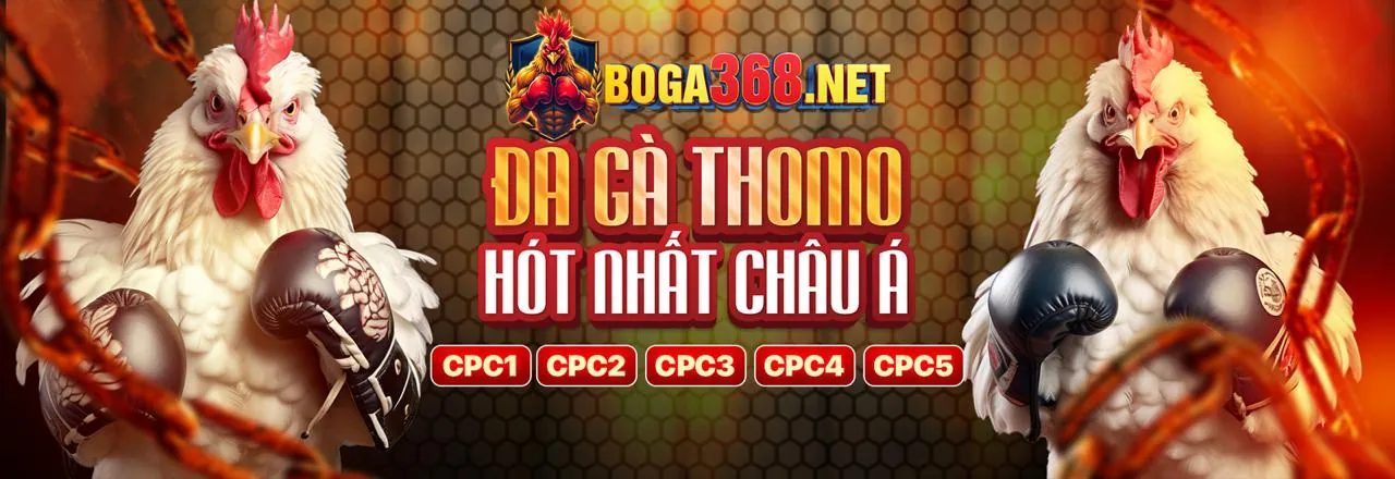 Đá gà trực tuyến kịch tính tại SM666 link mới